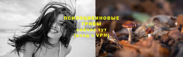 молекула духа Алзамай
