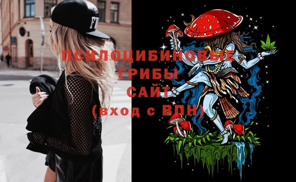 молекула духа Алзамай