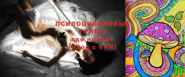 молекула духа Алзамай