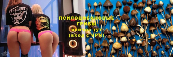 молекула духа Алзамай