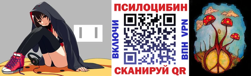 купить   Кулебаки  Галлюциногенные грибы мухоморы 