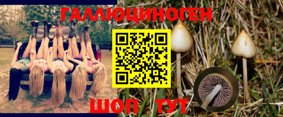 Галлюциногенные грибы GOLDEN TEACHER Кулебаки