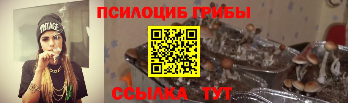 Галлюциногенные грибы ЛСД  Вход с VPN  Кулебаки 